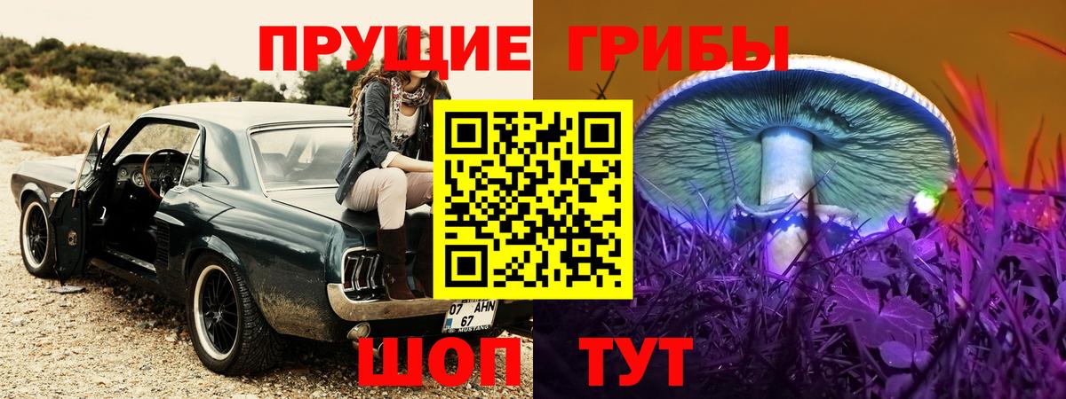 Псилоцибиновые грибы Psilocybine cubensis Хабаровск