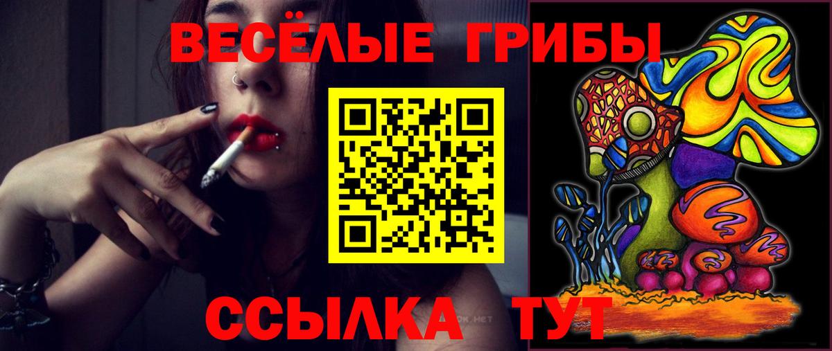 Псилоцибиновые грибы Cubensis  Вход с VPN  Галлюциногенные грибы Psilocybine cubensis  Хабаровск 